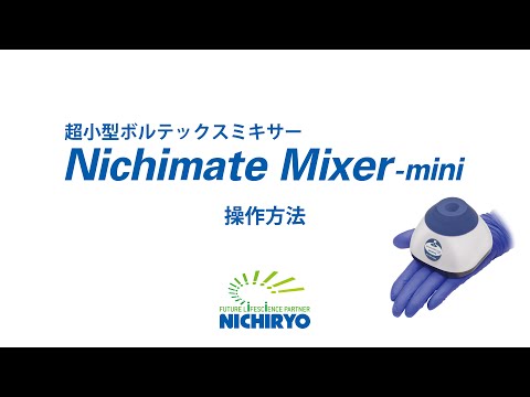 動画