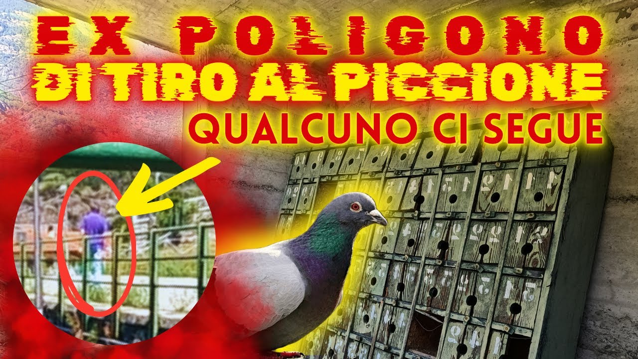 BERSAGLIO MOTORIZZATO MECCANICO BLACK RIFLE 1 320-063 AUTOMATICO MULTI In Metallo Calamita Tiro A Segno Aria Compressa Piombini BERSAGLIO MOTORIZZATO MECCANICO BLACK RIFLE 1 320-063 AUTOMATICO MULTI In Metallo Calamita Tiro A Segno Aria Compressa Piombini