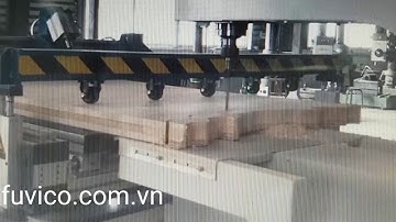 Máy Cưa Lọng Cnc Mũi Router Woodmaster | Máy Cưa Lọng Cnc | Đại Phúc Vinh CNC