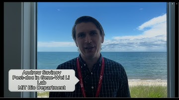 To what extent is a protein the sum of its parts?