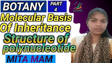 Structure of Polynucleotide - Molecular Basis of Inheritance | Class 12 Biology (22-23) by Mita Mam