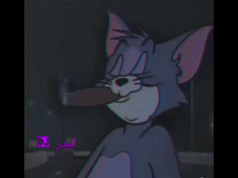 افريقي ريم مطلوب  لييدر