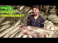 INDIA की BIGGEST Wholesale Fish Market में मछली किस भाव मिलती है ? Guru Musafir