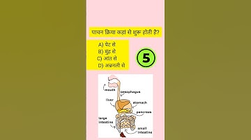 gk questions #quiz #shorts #shorts video