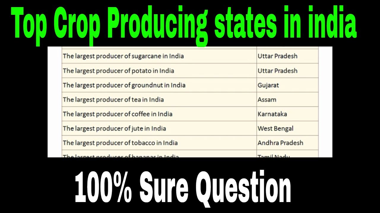 Top Crop Producing states in India Very Very Important YouTube