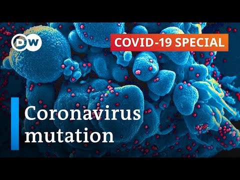 How Scary Is the U.K. Coronavirus Mutation?