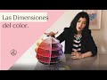 Teoría del color: ¿Que son las dimensiones del color?