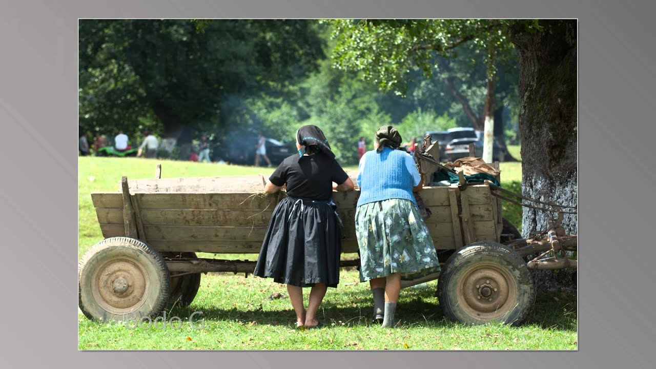 NEDEA DE LA TACASELE