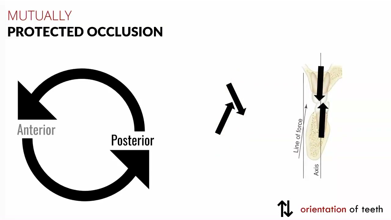 maxresdefault.jpg?sqp=-