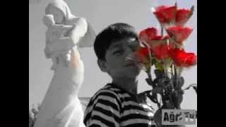 Faramarz Assef   Gol Foroosh   YouTube