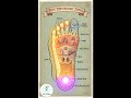 Your Feet Are A Map To Your Whole Body!