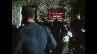 Солдаты УПА казнят сотрудников НКВД за преступления против украинского народа. Заслуженная кара.