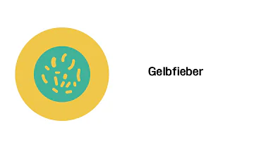 Wie läuft eine Gelbfieberimpfung ab?