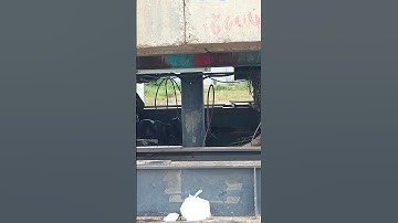 PHC Pile D350mm×28m | injection pile | by Robot 460T.#piles #youtube #subscribe