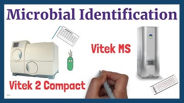 Microbial Identification | Vitek 2 Compact | Vitek MS     ​​⁠