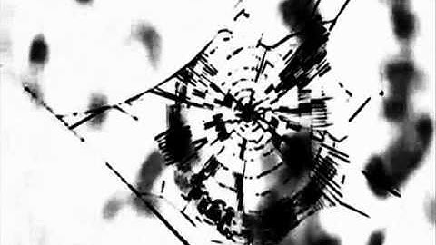 Spider: a modular synth and video experiment