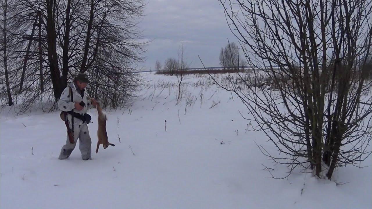охота на зайца белоруссия. охота на зайца белоруссия. охота на зайца белоруссия. охота на зайца 2021 самые свежие. охота на зайца белоруссия.