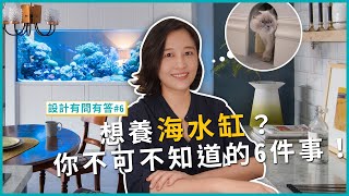 關於海水缸的6件大小事與饅頭貓咪的日常大公開設計有問有答#6瀚觀室內設計