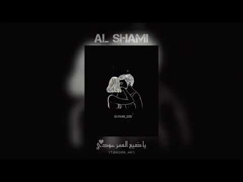 الشامي ياضي العمر عودي