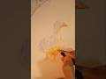 color pencils #art #shorts