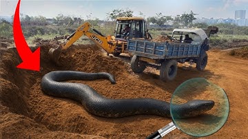 New JCB 3dx Eco Loading Mud Tractor | Mahindra Tractor । NewHolland Tractor Trolley and Washing JCB