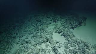 Rov Hercules Dive Na110-H1758-20190630T1537Utc-70