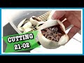 BALL PYTHON EGG CUTTING 21-02 | Pastel GHI X Vanilla | Reptile Eggs | Ball Python Breeding