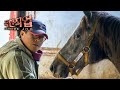 [Full] 극한직업 - 말목장 1~2부