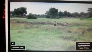 Initial Entertainment Group 2001