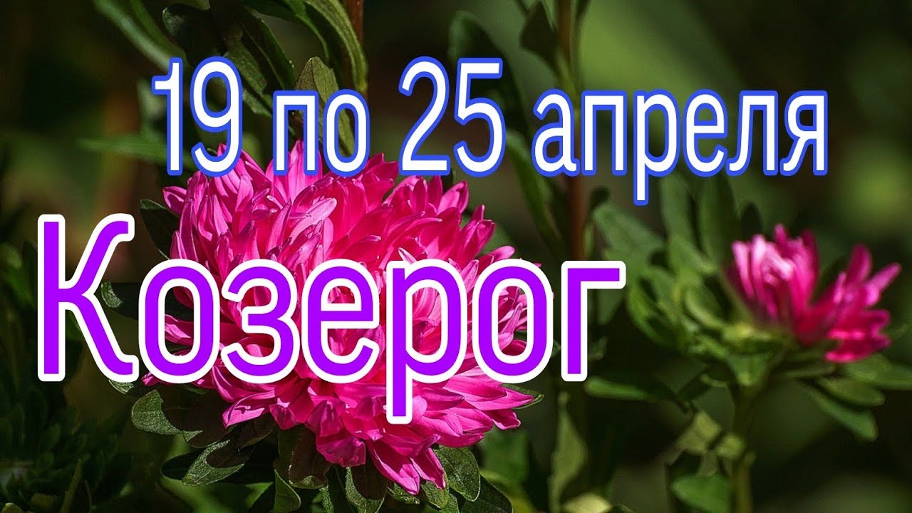 Прогнозы для Львов 25 апреля. 19 апреля козерог