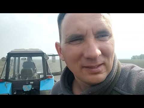 Сей овёс в