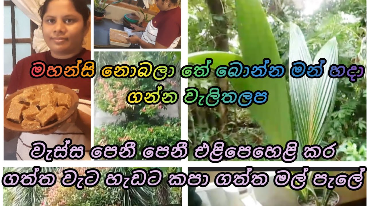 🥰Nilu My Chanal 🥰කාර්‍ය බහුල සති අන්තේ මහන්සිය නොබලා මන් හදා ගත්ත වැලිතලප 👌👌👌