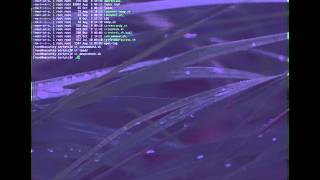💻 Master Linux Like a Pro! 🐧  Cool Linux scripting.  How to use with Cisco networking devices.