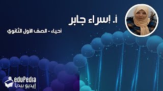 أحياء 1ث - الكربوهيدرات - أ. إسراء جابر