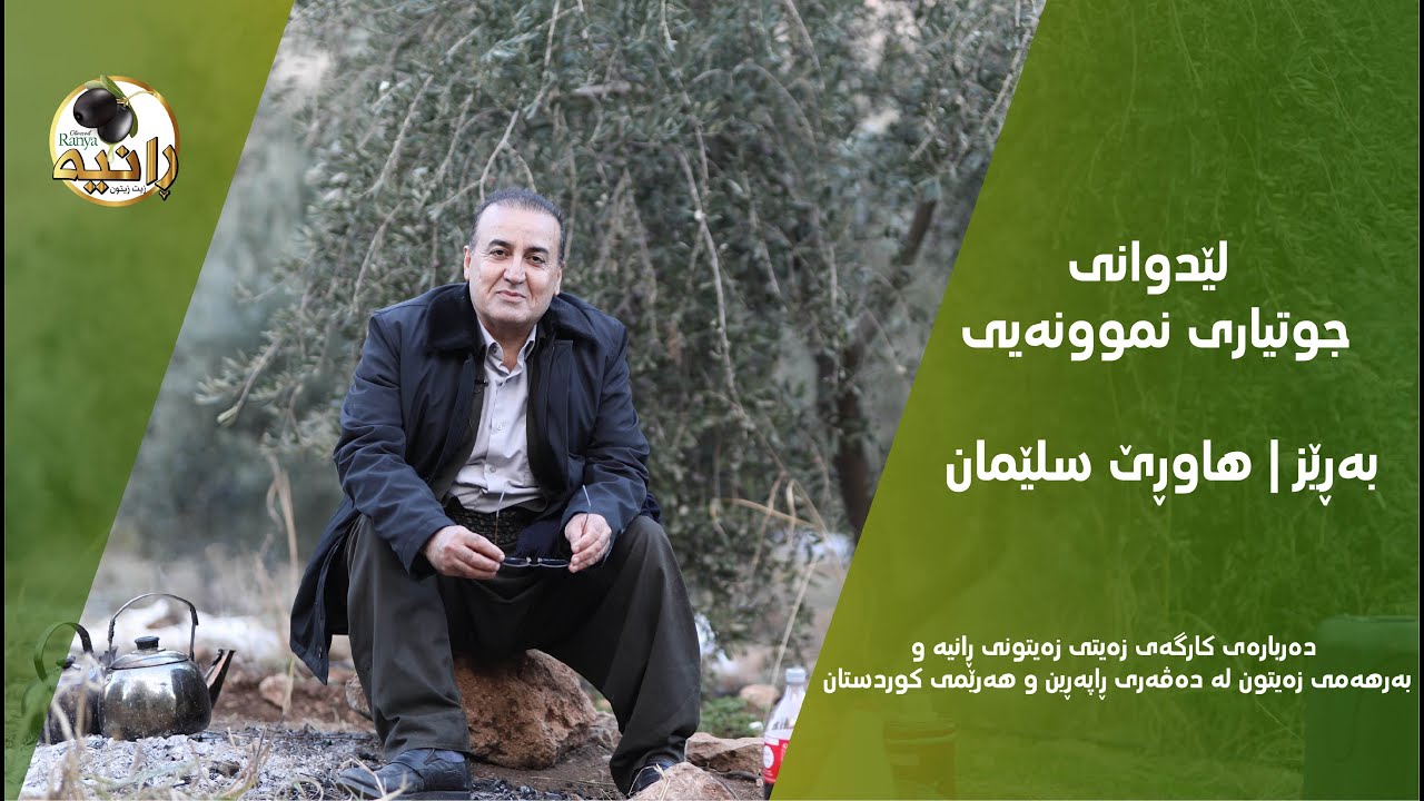 one of farmer of kurdistan about olive tree and factory هاوڕێ سلێمان -  کارگەی زەیتی زەیتونی ڕانیە