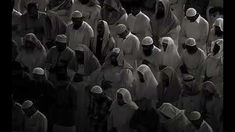 تلاوة خاشعة لآية "بل قلوبهم في غمرة من هذا" من سورة المؤمنون | صوت مؤثر يلامس القلوب