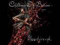 Children Of Bodom - Blooddrunk