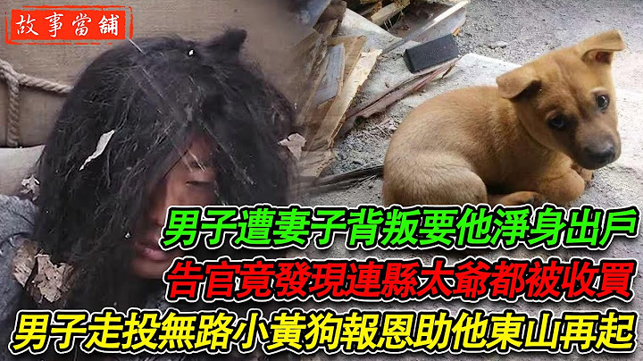 男子遭妻子背叛要他净身出户，告官竟发现连县太爷都被收买，男子走投无路，小黄狗报恩助他东山再起！| 民间故事 | 故事当舖 - 天天要闻