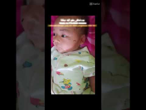 محمد شريف فضل الله