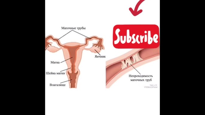 Xojayin va qulning porno surati Voyaga etgan ayol jinsiy aloqada boladi