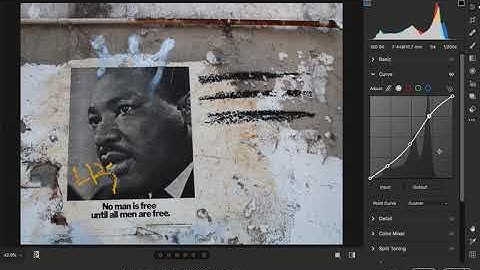 Digital Demo #11 - Camera RAW  Curve Panel