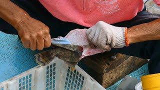 Cut and skin filefish / monacanthidae alive at sai kung seafood market
- hong kong