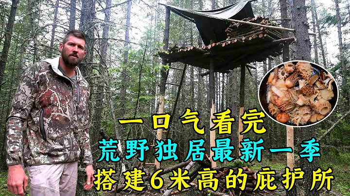 一口氣看完荒野獨居新一季全集，搭建6米高的空中庇護所，製作水中烤雞工具，真的太難了！紀錄片 - 天天要聞