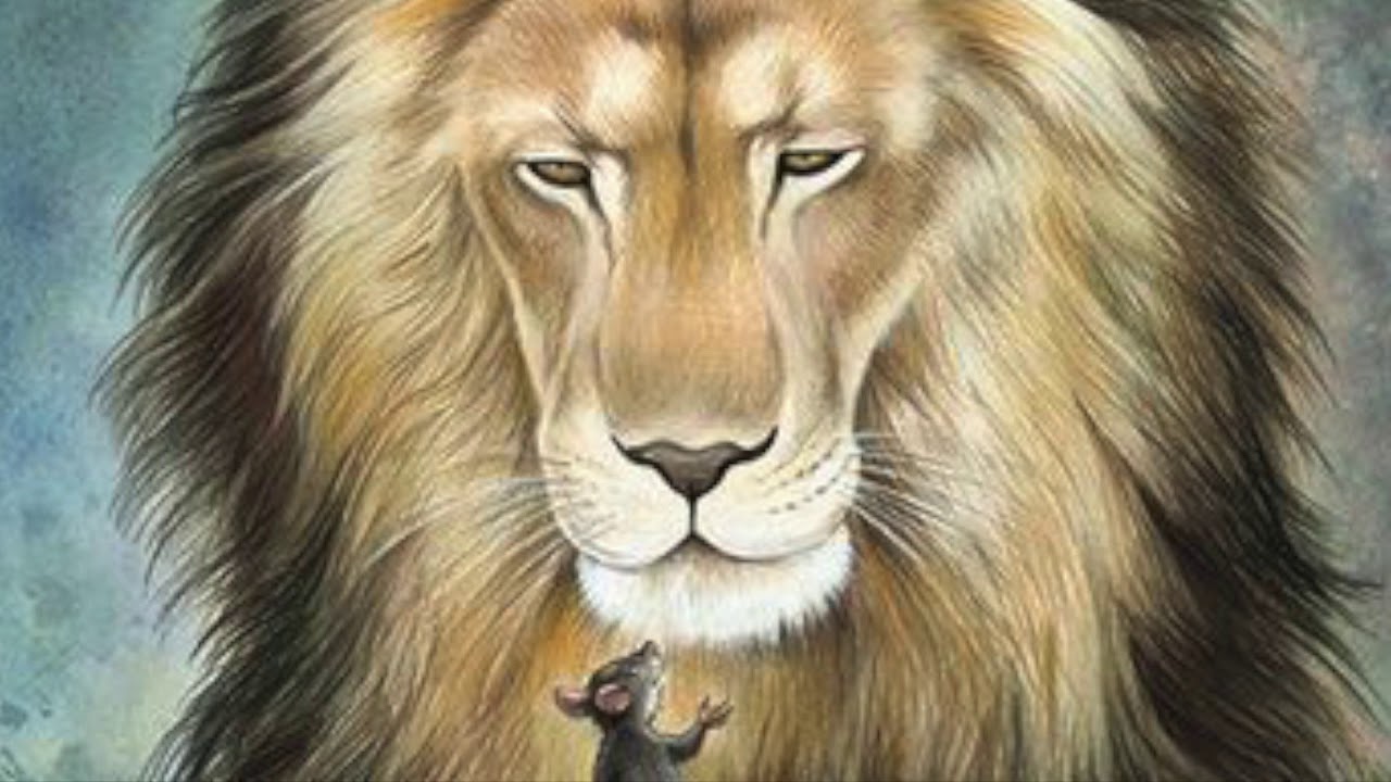 Der Löwe und die Maus von Johannes Galli - YouTube