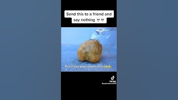 Send this to your friend and say nothing 😂