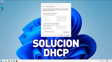 No se pudo obtener la dirección IP del servidor DHCP [Solución] Windows 11