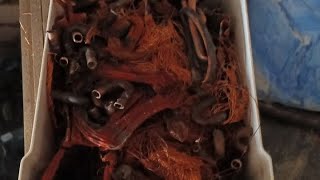 Ни дня без меди,копим тонну.🔨💥