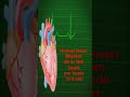 Normal Heart Rhythm Heartbeat Viral Viral Trending mp3