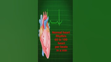 Thumbnail of Normal heart Rhythm#heartbeat#viral #viral#trending