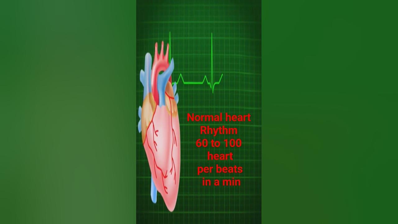 Normal heart Rhythm#heartbeat#viral #viral#trending